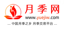 中国上海龙凤419，月季品种介绍和养护知识分享专业网站(图1)