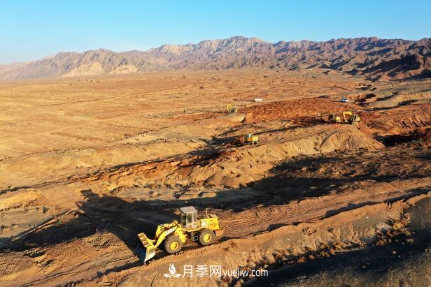 甘肃张掖：元宝枫国家储备林建设项目加速推进(图1)