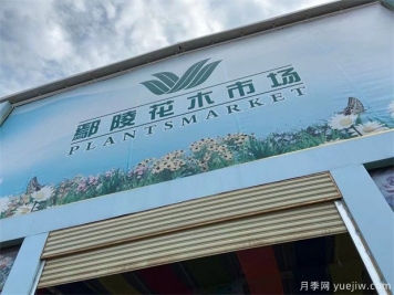 鄢陵县花木产业未必能想到的那些问题