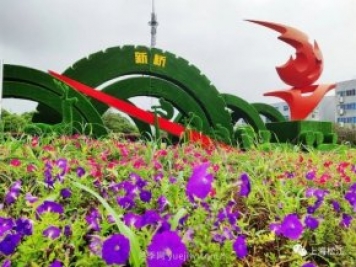 上海松江这里的花坛、花境“上新”啦!特色景观升级!