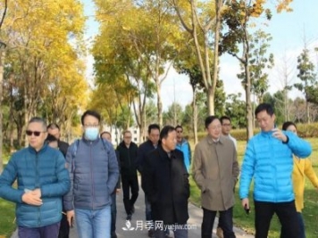 提升城市园林绿化，苏州向上海学什么？